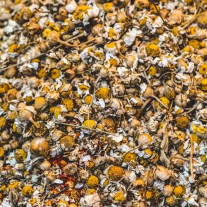 Chamomile tea