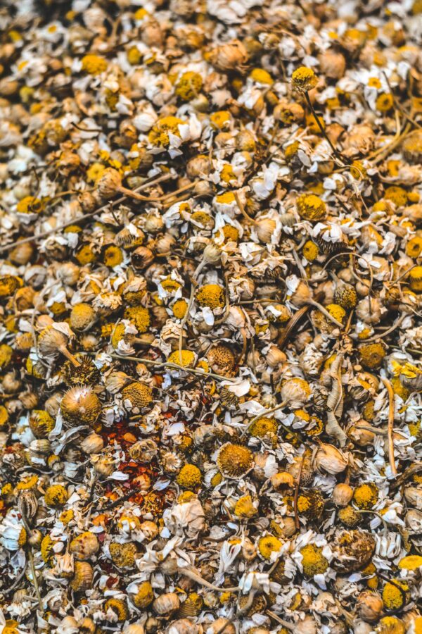 Chamomile tea